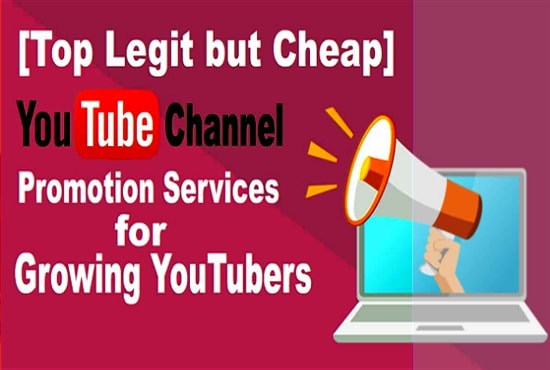 I will do organic youtube promotion to targeted audience