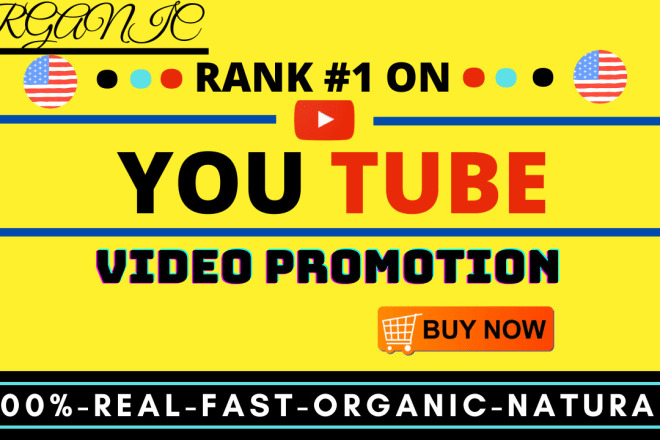 I will do organic youtube video promotion