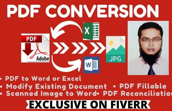 I will do PDF conversion, pdf to word, or to excel