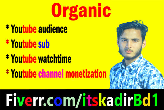 I will do professional and organic top youtube promotion