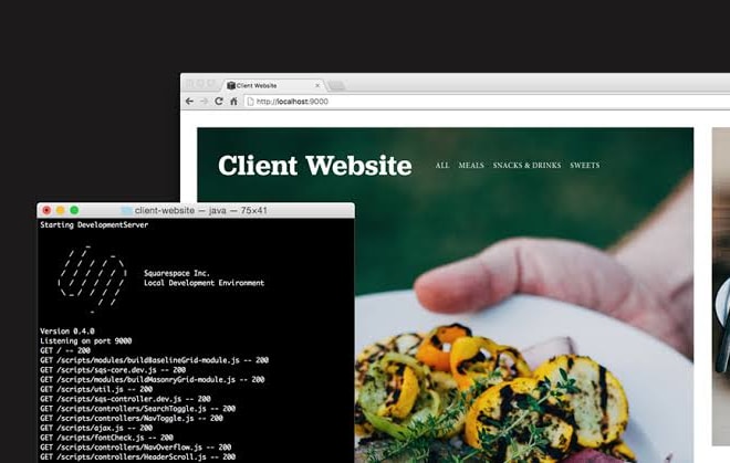 I will do squarespace website design and customization