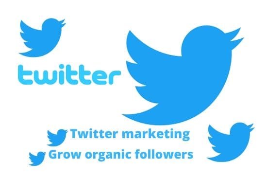 I will do the best twitter marketing and grow organic followers