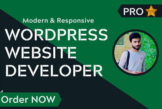 I will do the wordpress website development and speed optimization