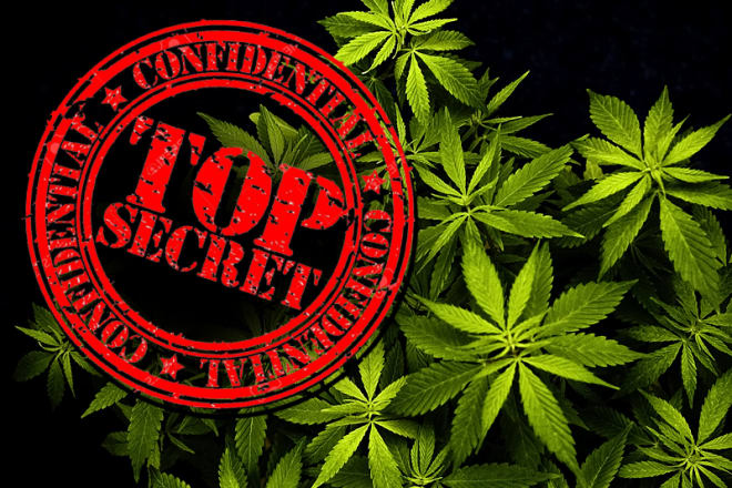 I will do top SEO for your marijuana cannabis business