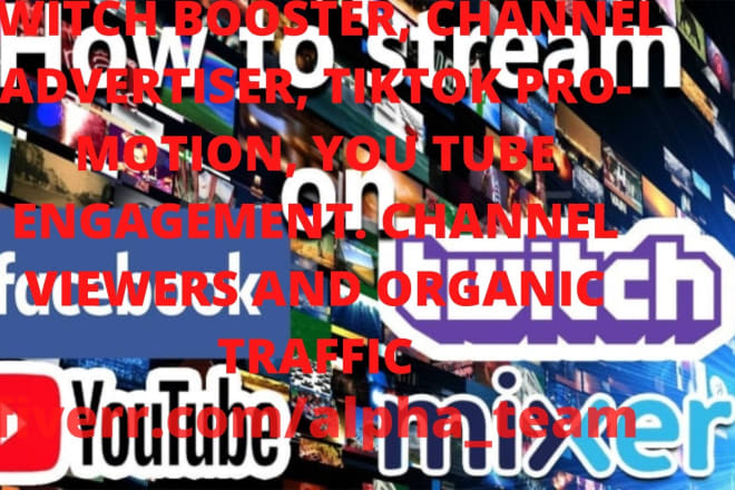 I will do twitch, youtube, music, tiktok promotion to boost views and channel traffics