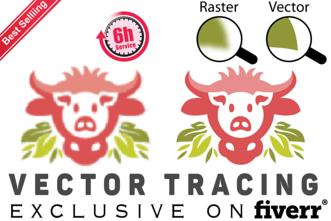 I will do vector tracing or replicate your logo