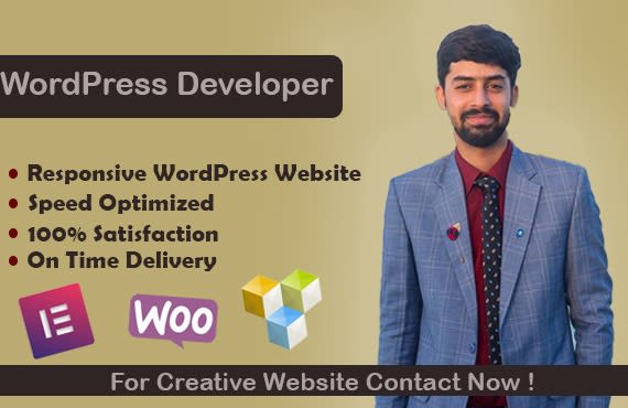 I will do wordpress website development or web design