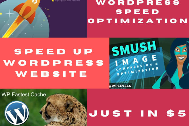 I will do wordpress website optimization and speed up in 24 hours