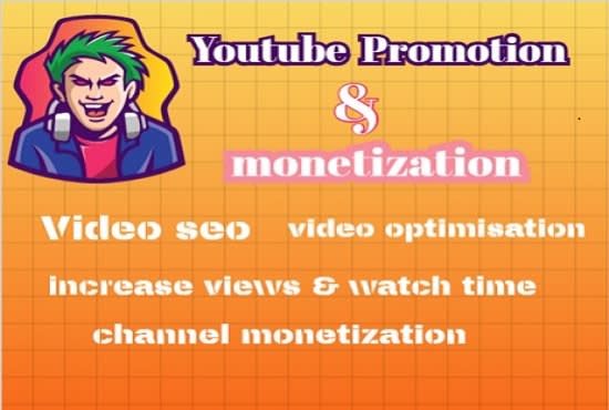 I will do youtube promotion and channel monetization