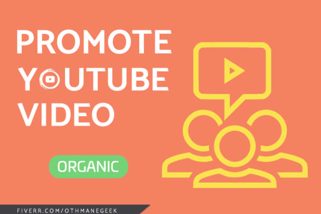 I will do youtube video promotion
