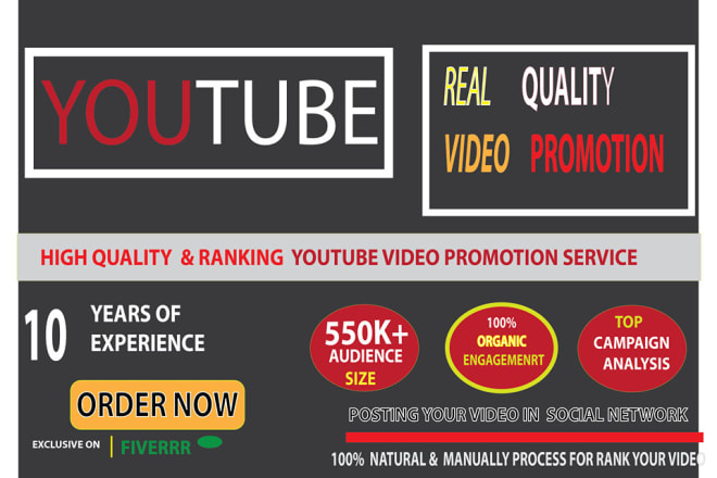 I will do youtube video promotion