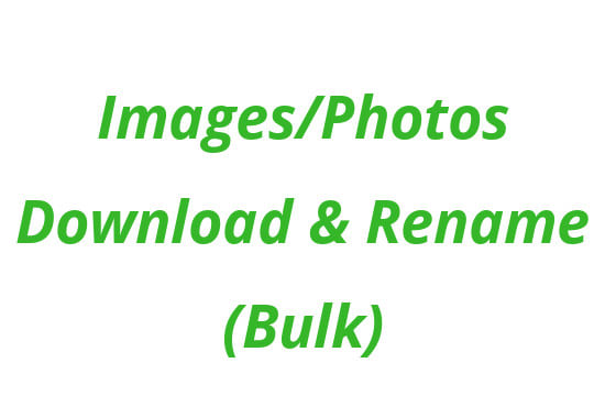 I will download images in bulk from any website