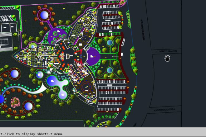 I will draw architectural floor plan, site plan and can convert pdf in dwg