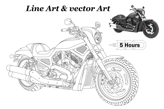 I will draw detail line art illustrations