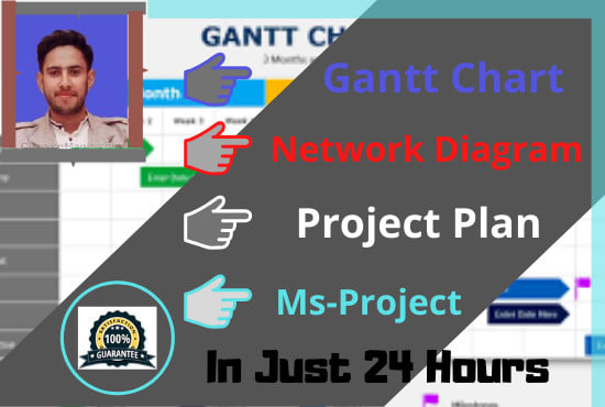 I will draw gantt chart and project plan using ms project