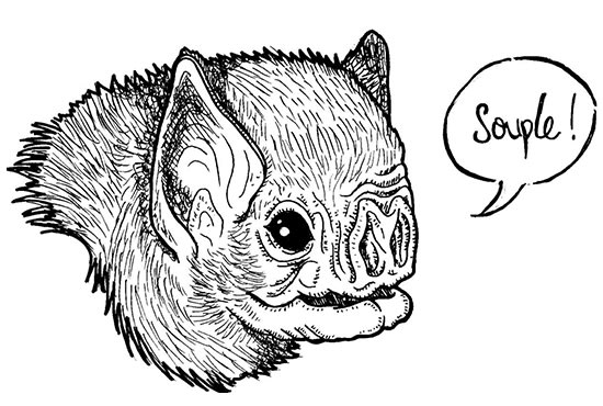 I will draw monochrome lineart animal icon with unique quote