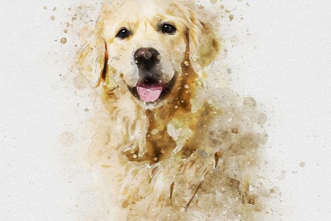 I will draw realistic pet portraits in oil painting