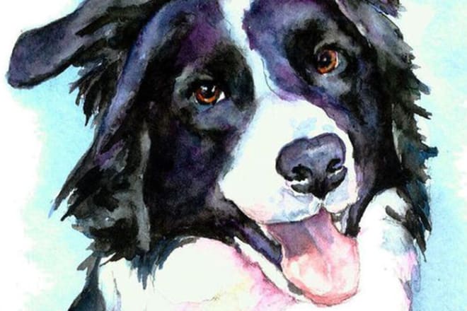 I will draw watercolor pet portrait