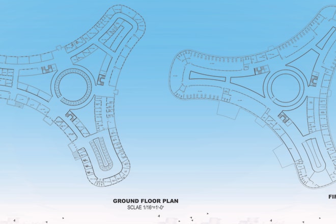 I will draw your floor plan, elevations, roof plan and sections
