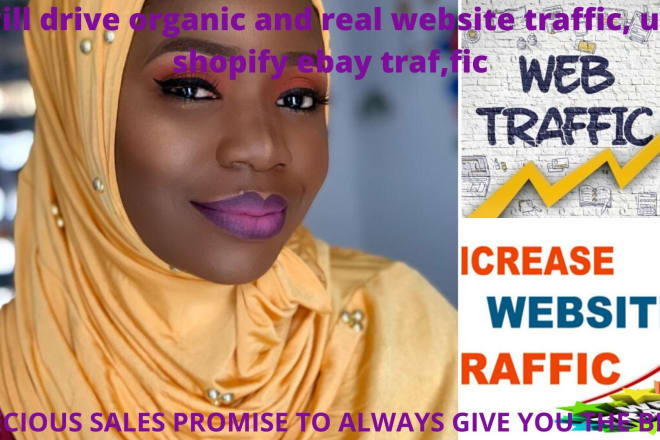 I will drive organic and real website traffic, usa, shopify ebay traf,fic
