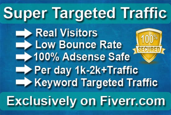 I will drive organic traffic for your web site or blog