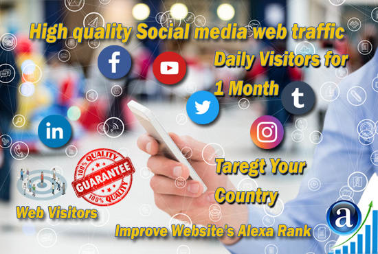 I will drive real website traffic from social media for 1 month