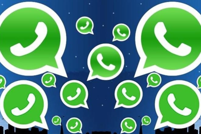 I will edit web to mobile sms app similar to web to whatsapp script
