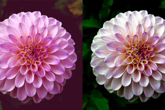 I will edit your photos in the best possible manner