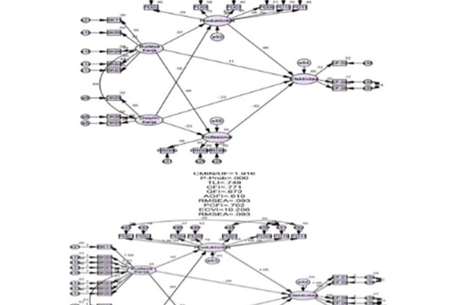 I will estimate structural equation modeling using IBM amos