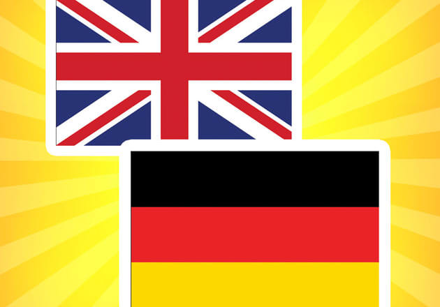 I will expertly translate german into english or viceversa
