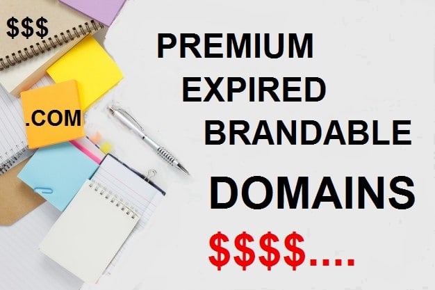 I will find 2 expired premium domain worth 1000usd above in 24 hrs