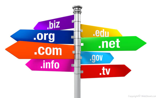 I will find the best domain for your product or startup