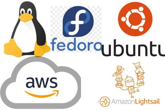 I will fix linux, cpanel, plesk, email, dns, whm, wordpress, vps, centos, AWS issues