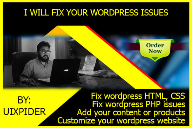 I will fix wordpress issues, errors, or wordpress problems