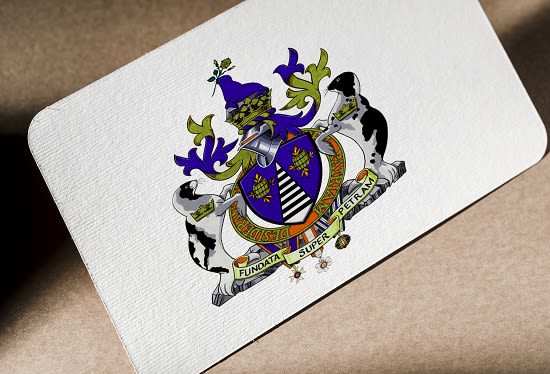I will give attractive arms and crest heraldry logo with source files and unlimited rev
