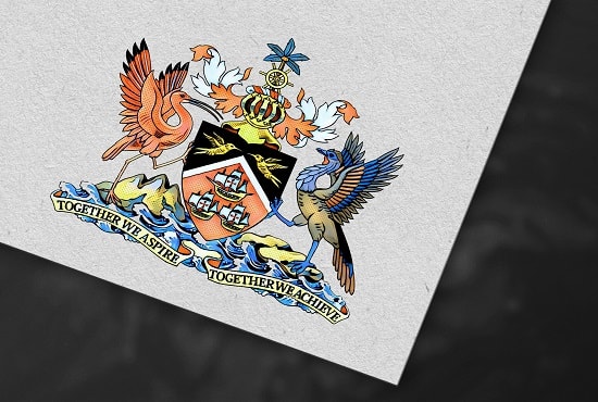 I will give mind blowing arms and crest heraldry logo design with revisions till your