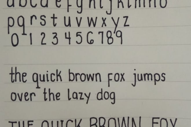 I will handwrite letters, documents or anything neatly