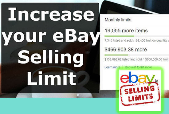 I will increase your ebay selling limit