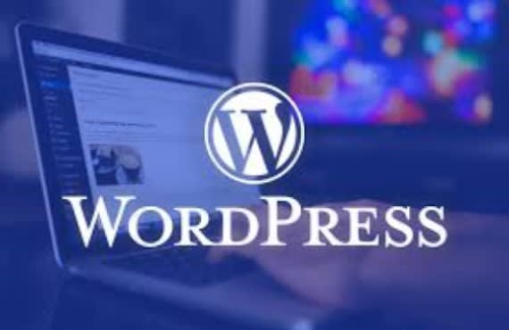 I will made wordpress website and customization
