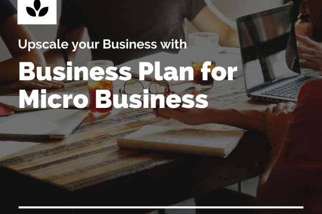 I will make a business plan for you