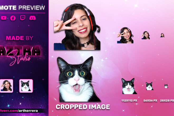 I will make custom emotes based on photos of you or your pet