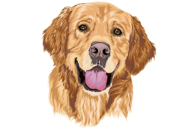 I will make dog cat pet hand drawn cartoon portrait in 24 hrs