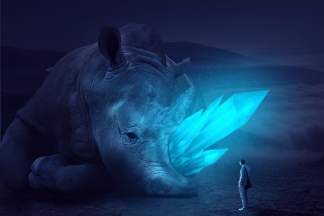 I will make professional photoshop manipulations and edit pics