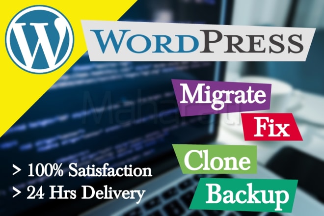 I will migrate, move, transfer your website, forum, wordpress