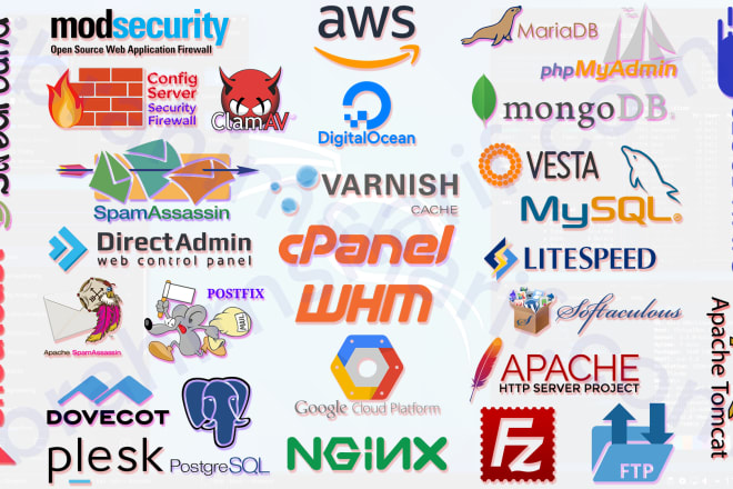 I will migrate server fix cpanel,aws,gcp,vps,plesk,dns,email,apache,nginx,php,mysql etc