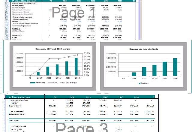 I will offer you a Working excel business plan template