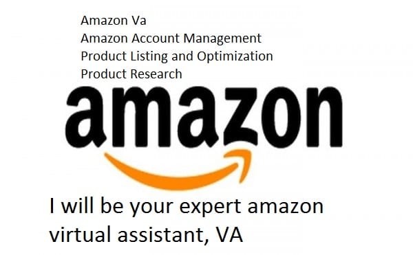 I will organize your store in amazon and daraz
