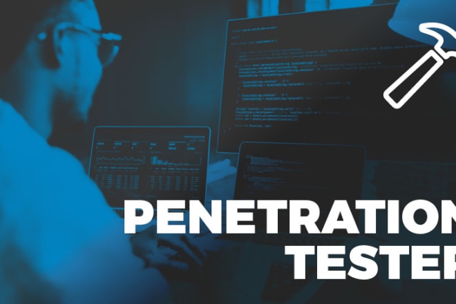 I will perform penetration testing, vulnerabilty assessment