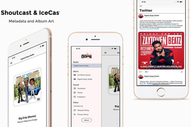 I will pro radio app with metadata and album art