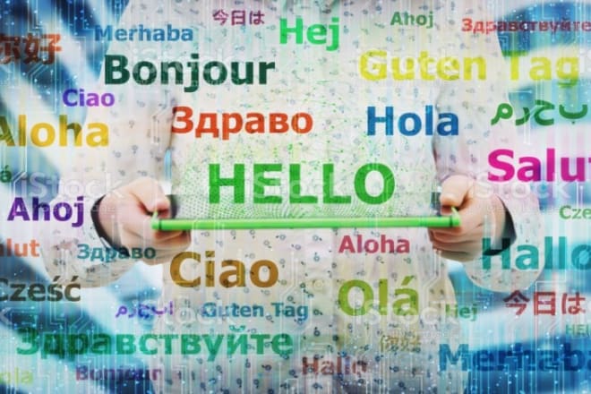 I will professional translation spanish french english